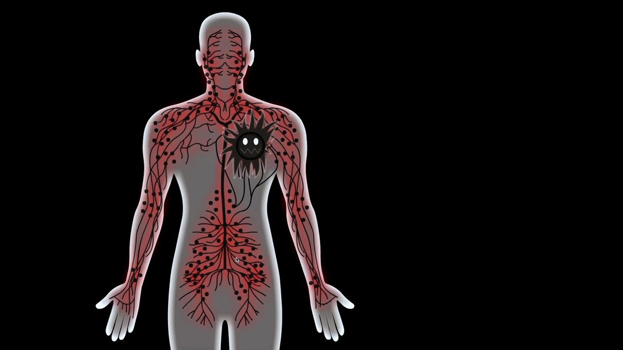 Gain Trophy from 6k to Top 200 #1  [ Shinobi Warfare ]