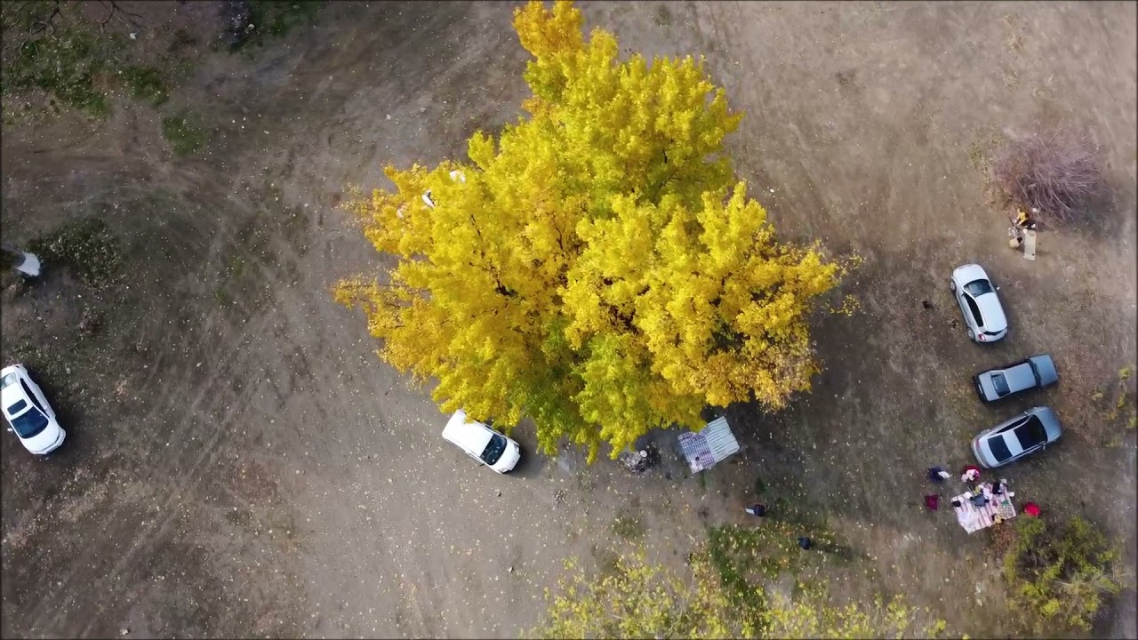 BELEMEDİK DRONE