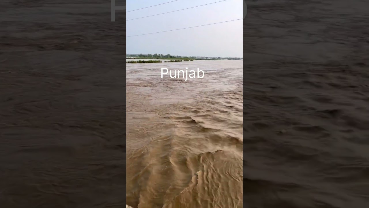 flood in different places of India #prayforindia #uttarakhand #flood #mumbai #jammukashmir #punjab