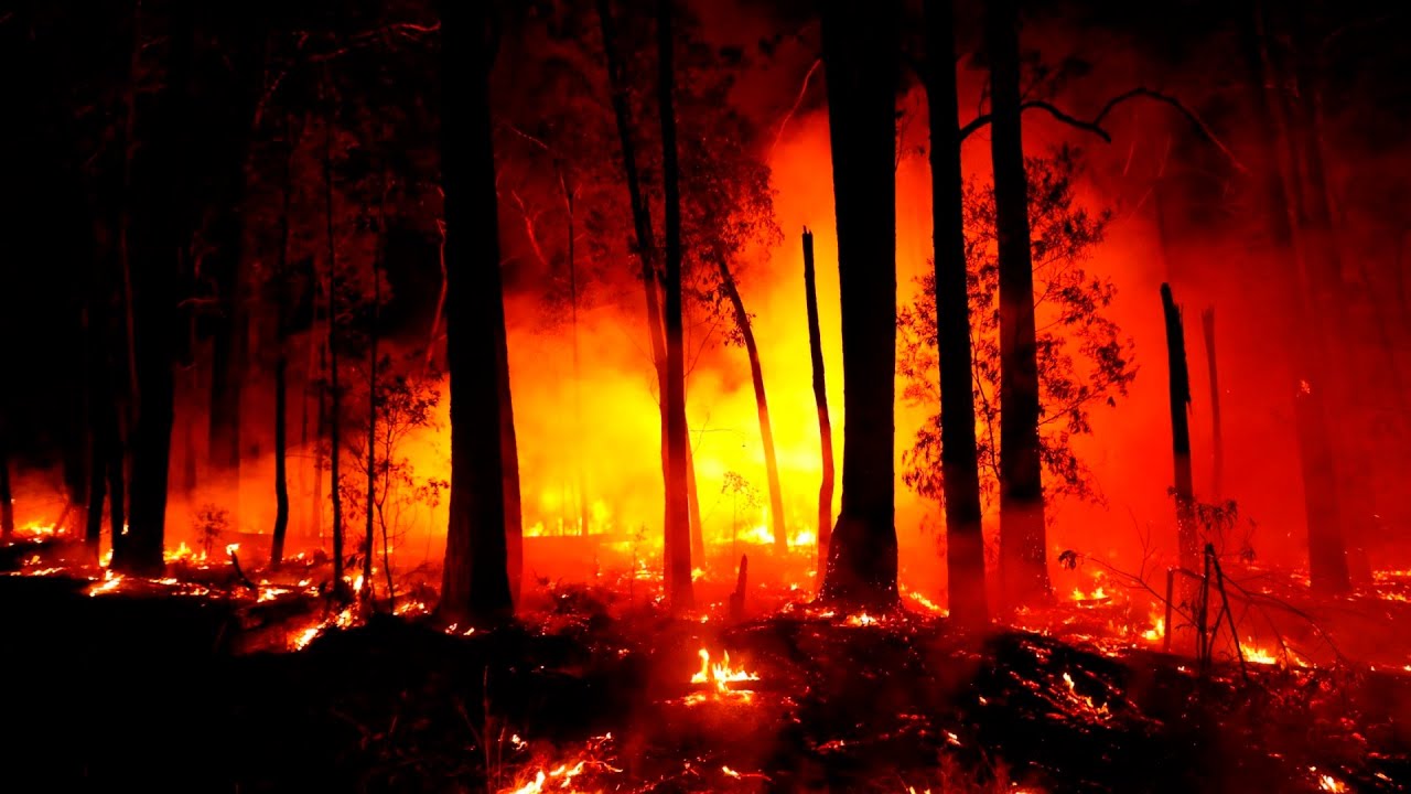 Australians are ‘well versed’ in the tragedy of wildfires