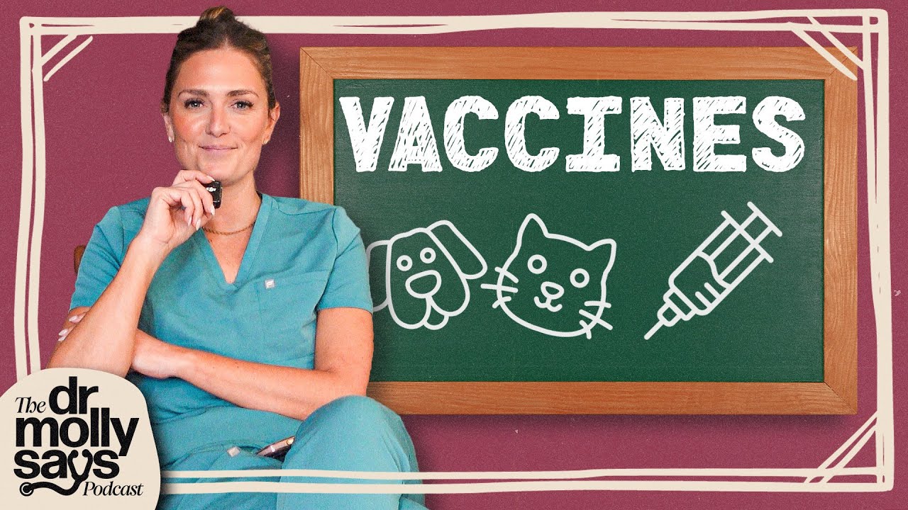 EP27 - Dog Vaccines Explained: Rabies, Puppy Shots, Titers & Reactions | The Dr. Molly Says Podcast