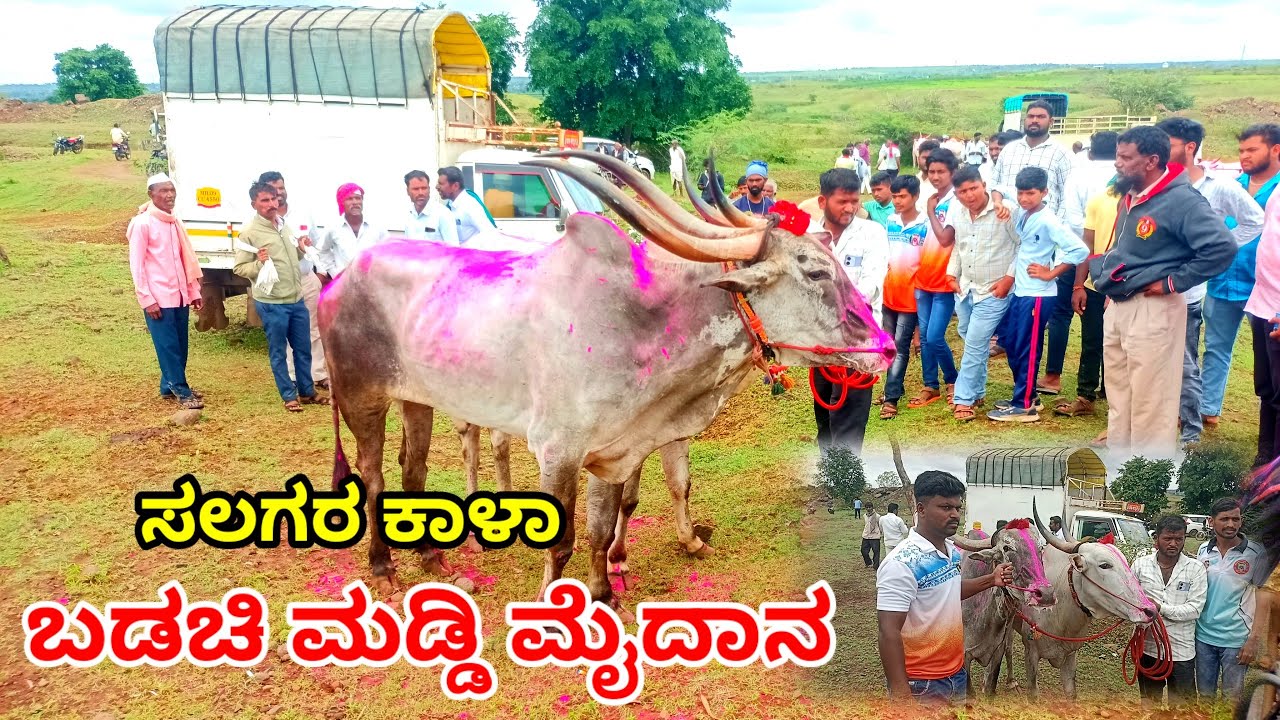 ಬಡಚಿ ಮಡ್ಡಿ ಮೈದಾನ