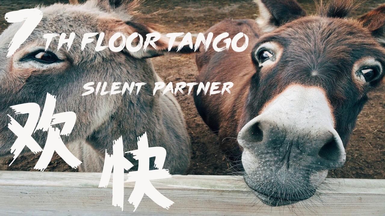 Music音乐库 免费音乐下载 歌名: 7th Floor Tango 作者:Silent Partner|电音|欢快(no copyright music)