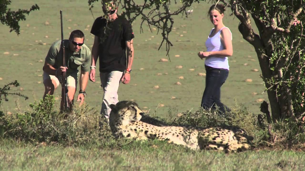 SHAMWARI GAME RESERVE WILL ROCK YOU!