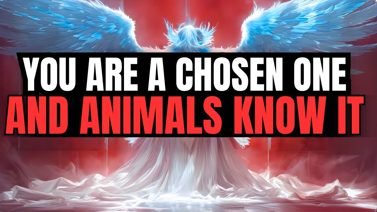Chosen Ones, Why Are Animals Spiritually Drawn to You? | Signs You're a Chosen One