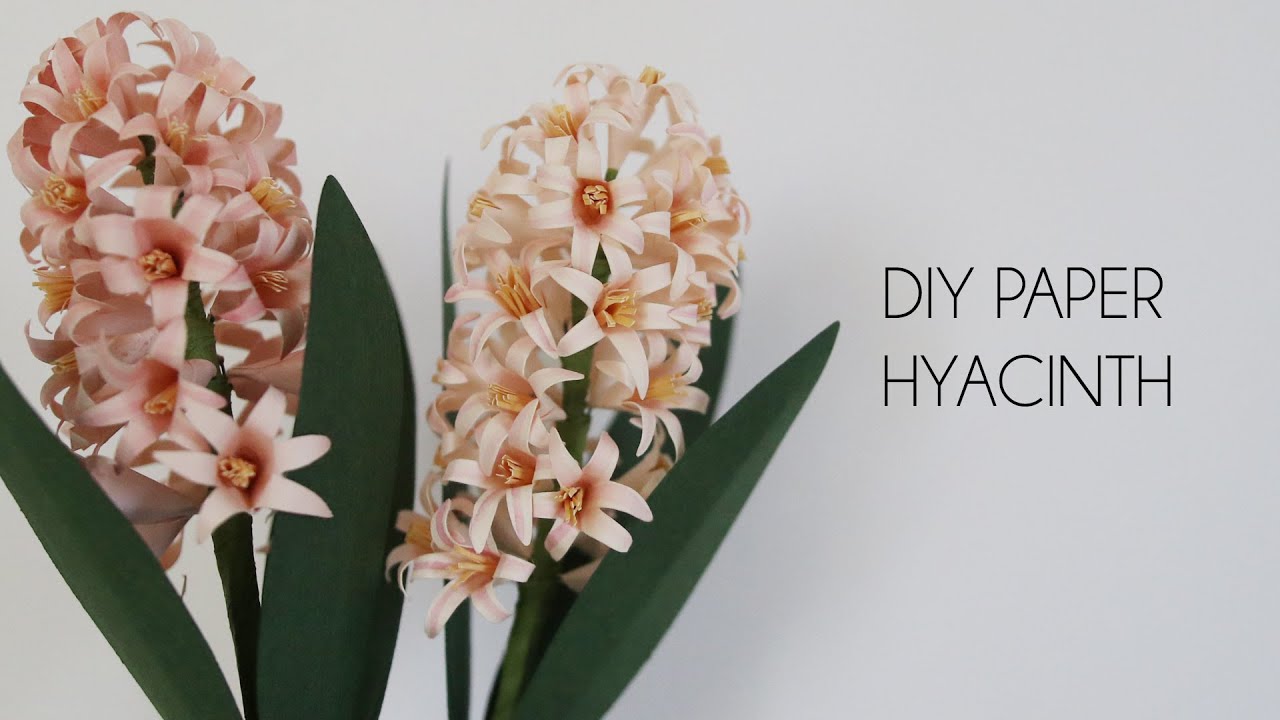DIY How to make Paper Hyacinth (Paper flower, crafts, cardstock paper, silhouette cameo 종이꽃)