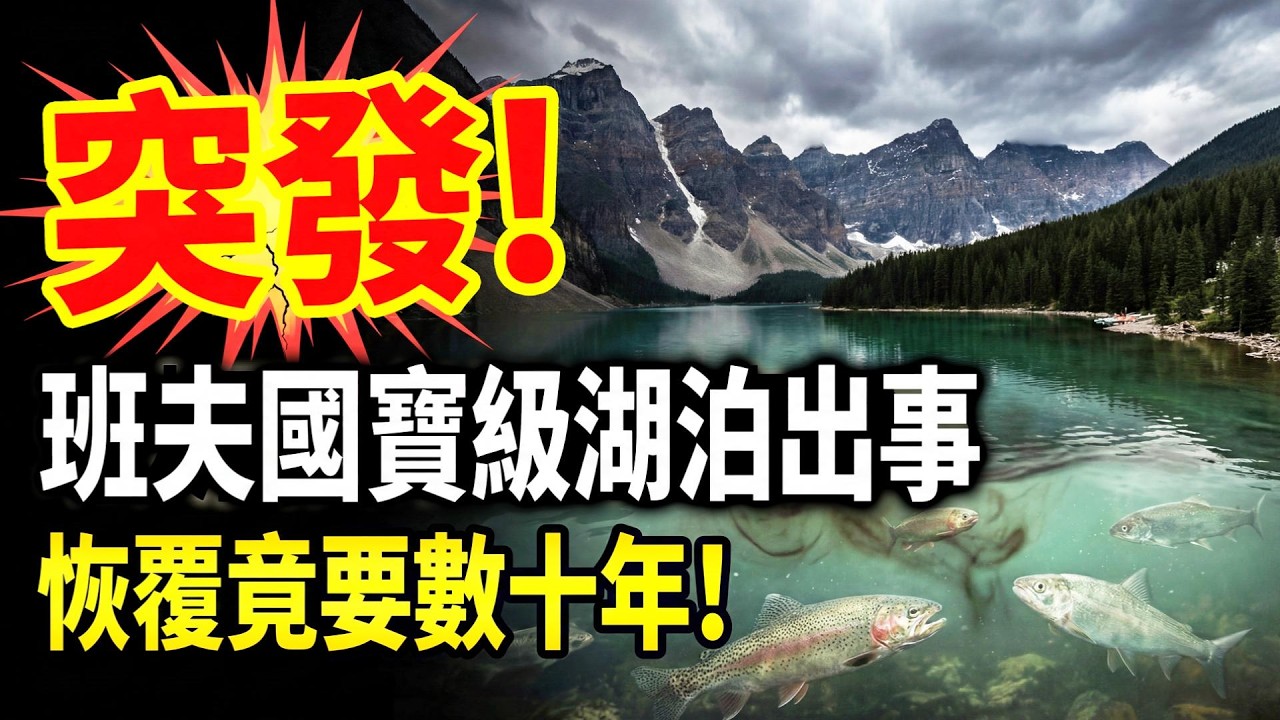 突发！班芙国宝级湖泊出事 恢复竟要数十年 新规紧急出台；加拿大新移民大缩水：中国骤降 印度人数竟是中国5倍！气炸！加男子15刀捅死女友  竟因肤色减刑3年（《港灣播報》20260313-1 EZX）