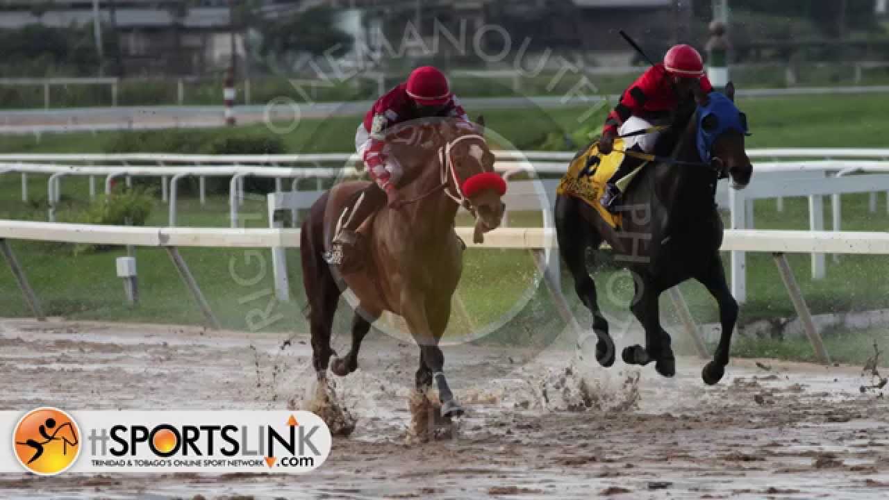 Santa Rosa Park Arima Race Day 40 by OneManOutfit - DISTAFF CLASSIC