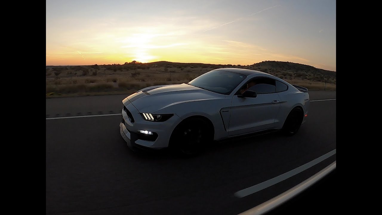 Shelby GT350 Oil Consumption pt 5 ( It's Back!!!!)