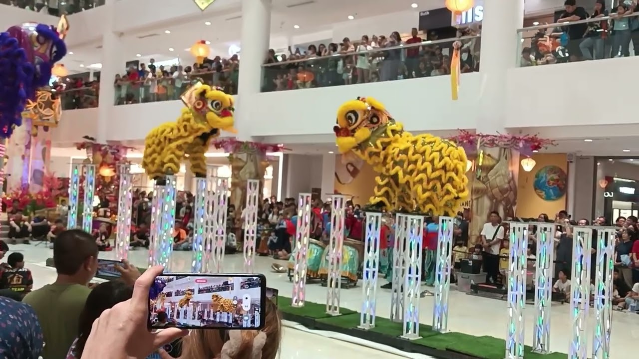Lion Dance 2026(5)