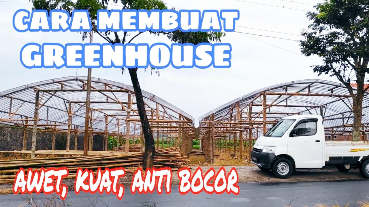 Cara membuat greenhouse bambu sederhana