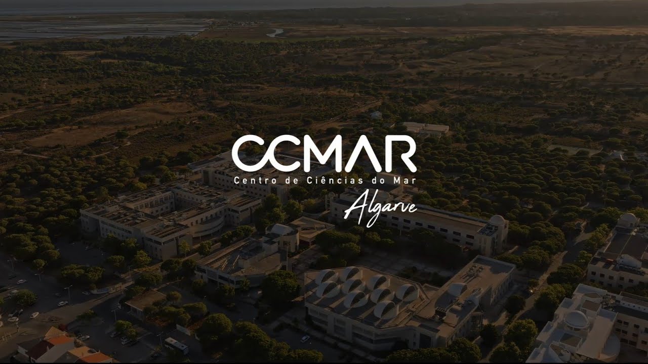 CCMAR - Promotional Video