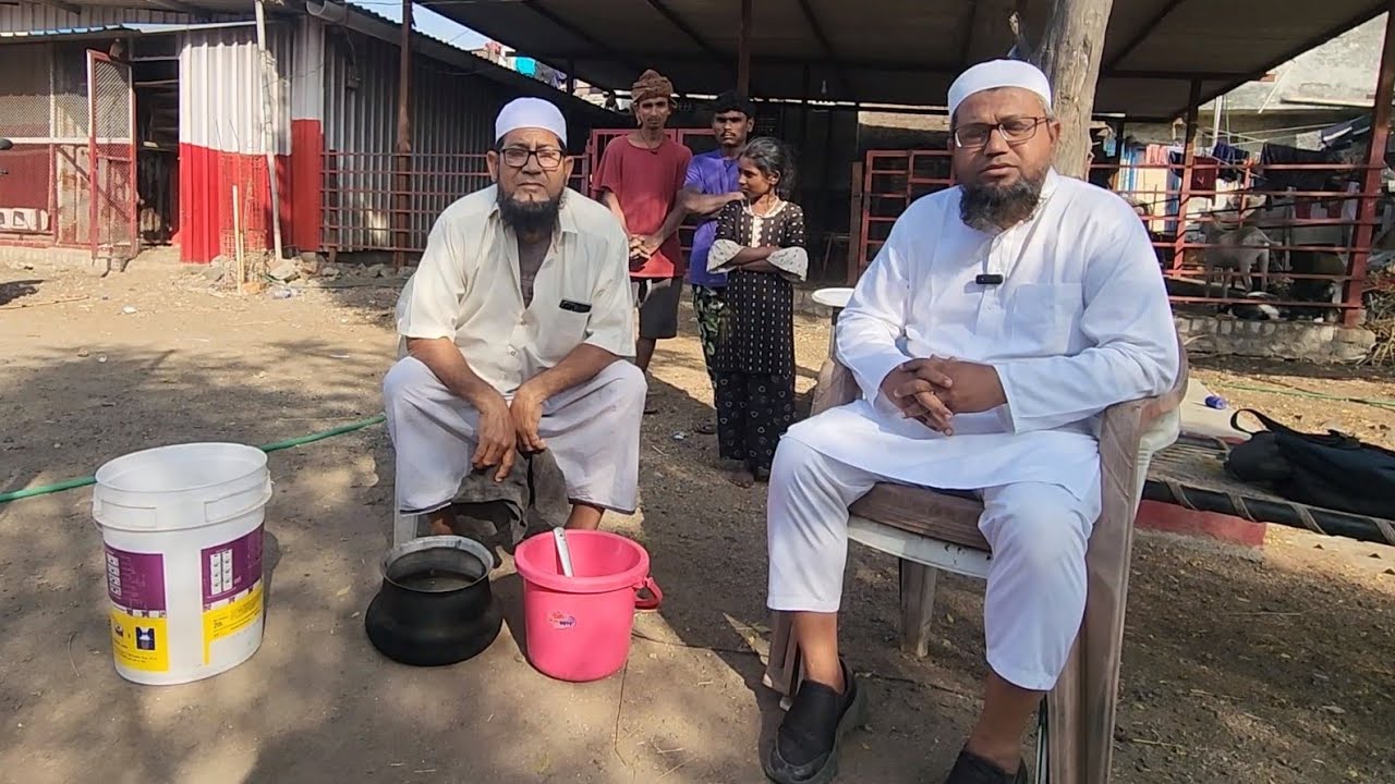 Winter Special Supplements Homemade For Goats Weight Gain By Noorani Goat Farm Surat Gujarat.