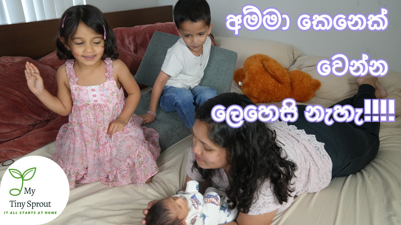අම්මා කෙනෙක් විධියට සතුටින් ඉන්න ලැබෙන ජයග්‍රාහී නව වසරක් වේවා HAPPY NEW YEAR 2026  !!! #strongmom