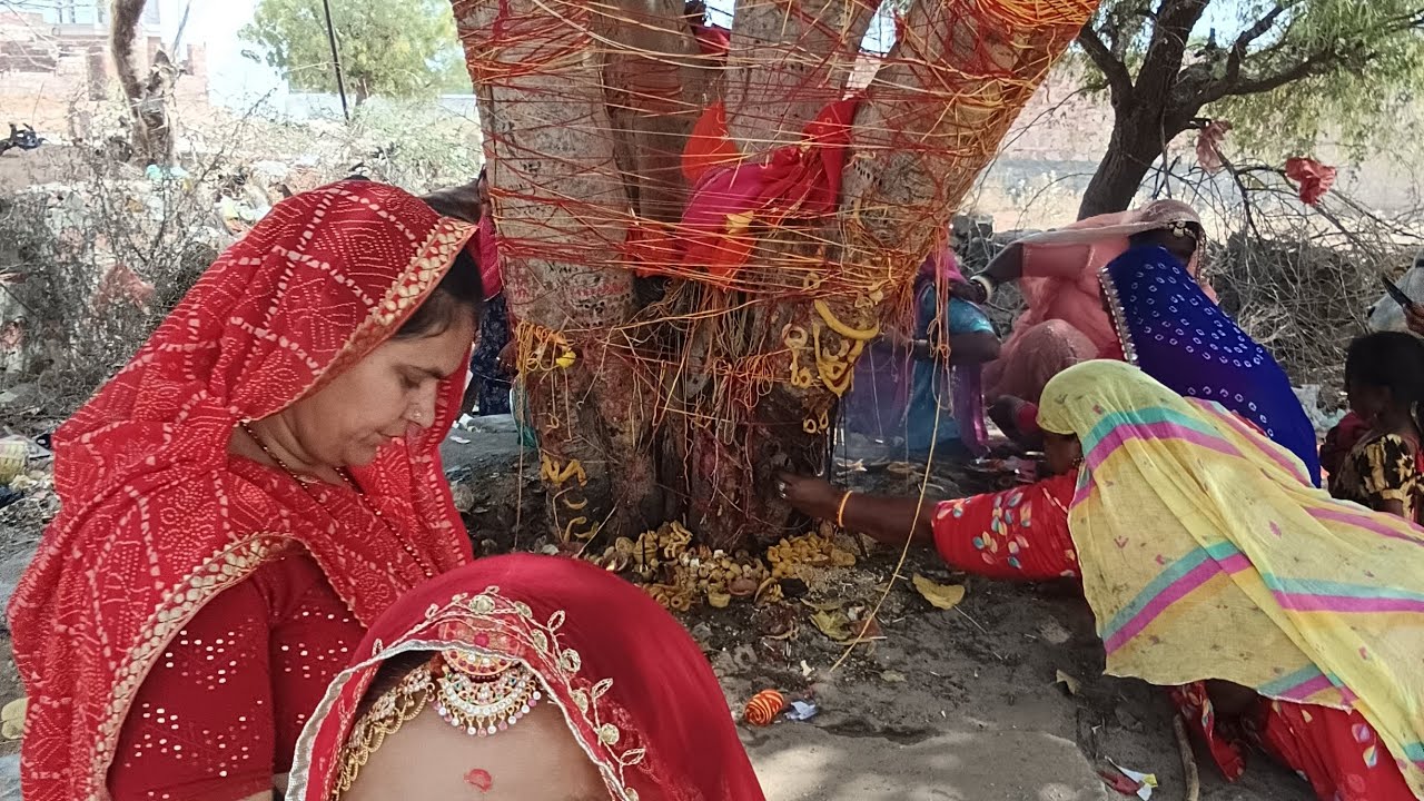 पारंपरिक तौर तरीके से आज हमने की दशा माता की पूजा