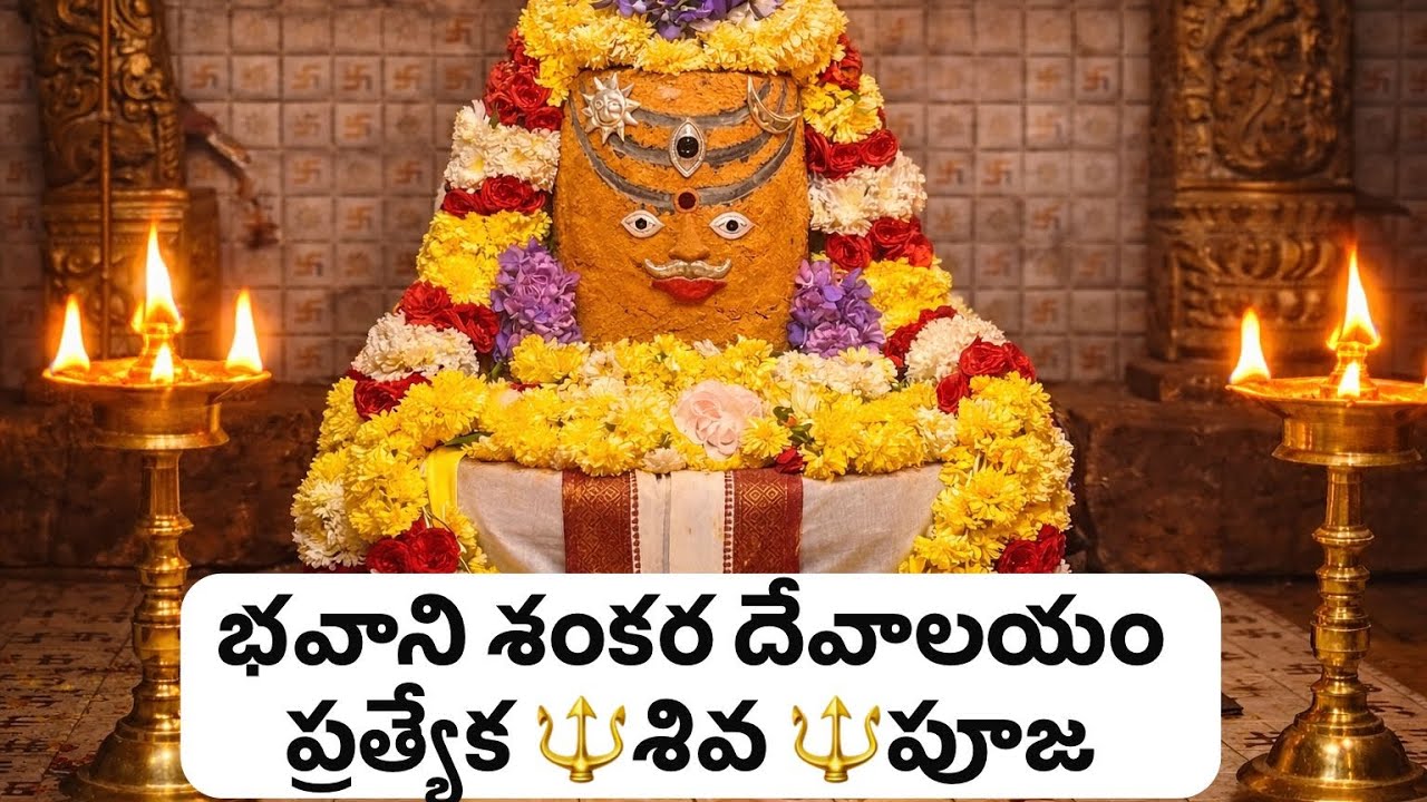 భవాని శంకరదేవాలయం ప్రత్యేక శివ పూజ | శక్తివంతమైన దివ్య దర్శనం | తప్పక చూడండి!#shivaratri2026 