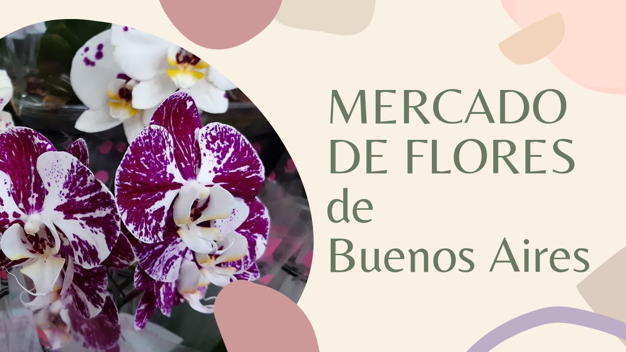 Una visita al mercado de flores del barrio de Barracas en la ciudad de Buenos Aires