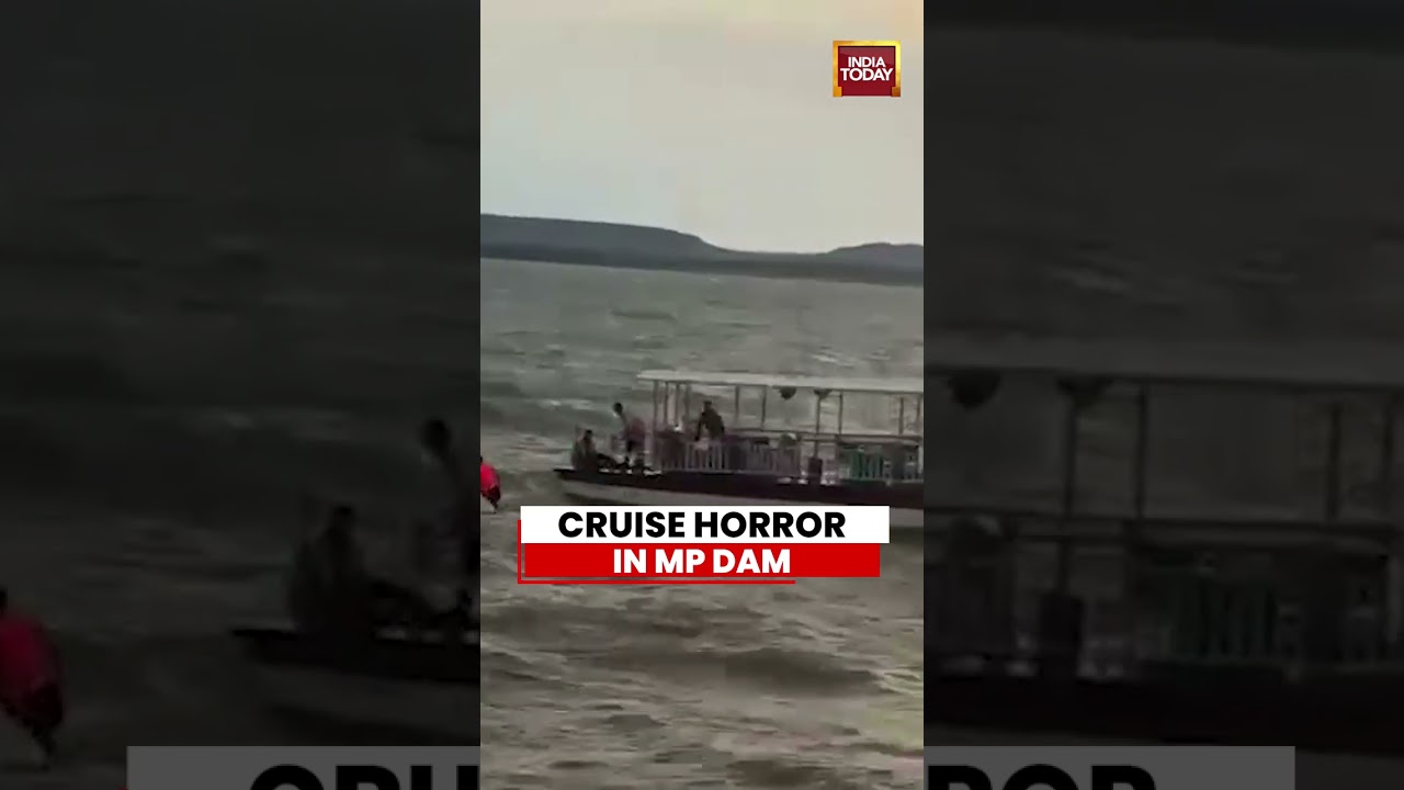 VIRAL VIDEO | Cruise Horror In Madhya Pradesh Dam | Rescue Operation Intensifies After Boat Mishap