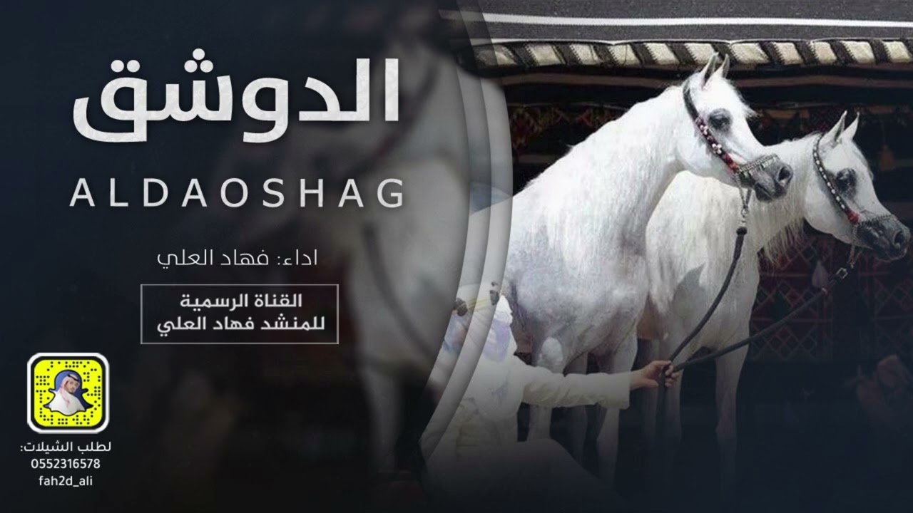 شيلة الدوشق اداء فهاد العلي