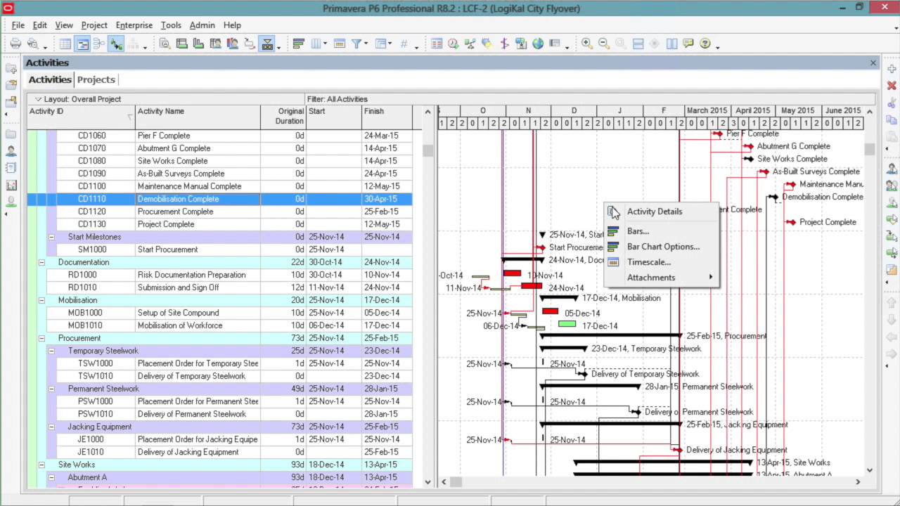 Modifying the Gantt Chart in P6 - Bar Hierarchy
