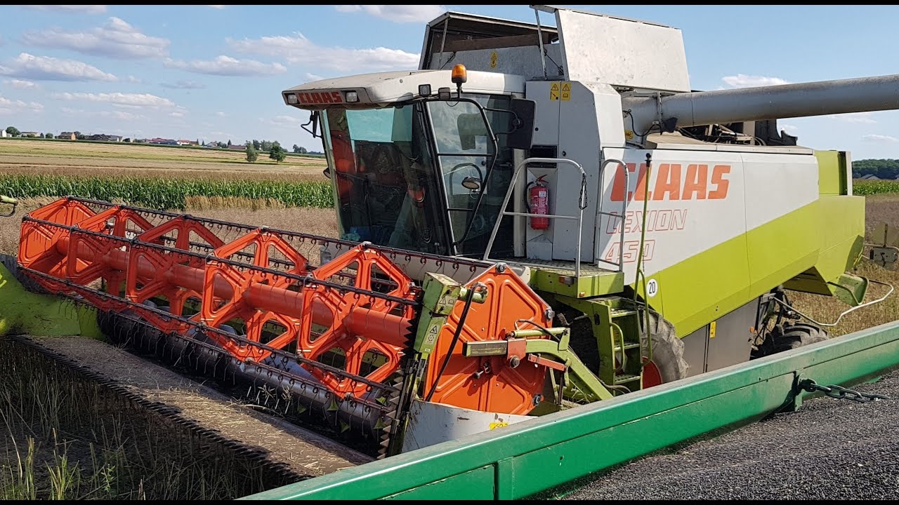 GRChocaj - Żniwa 2021 || Claas Lexion 450 vs Rzepak || Puma 150 ||