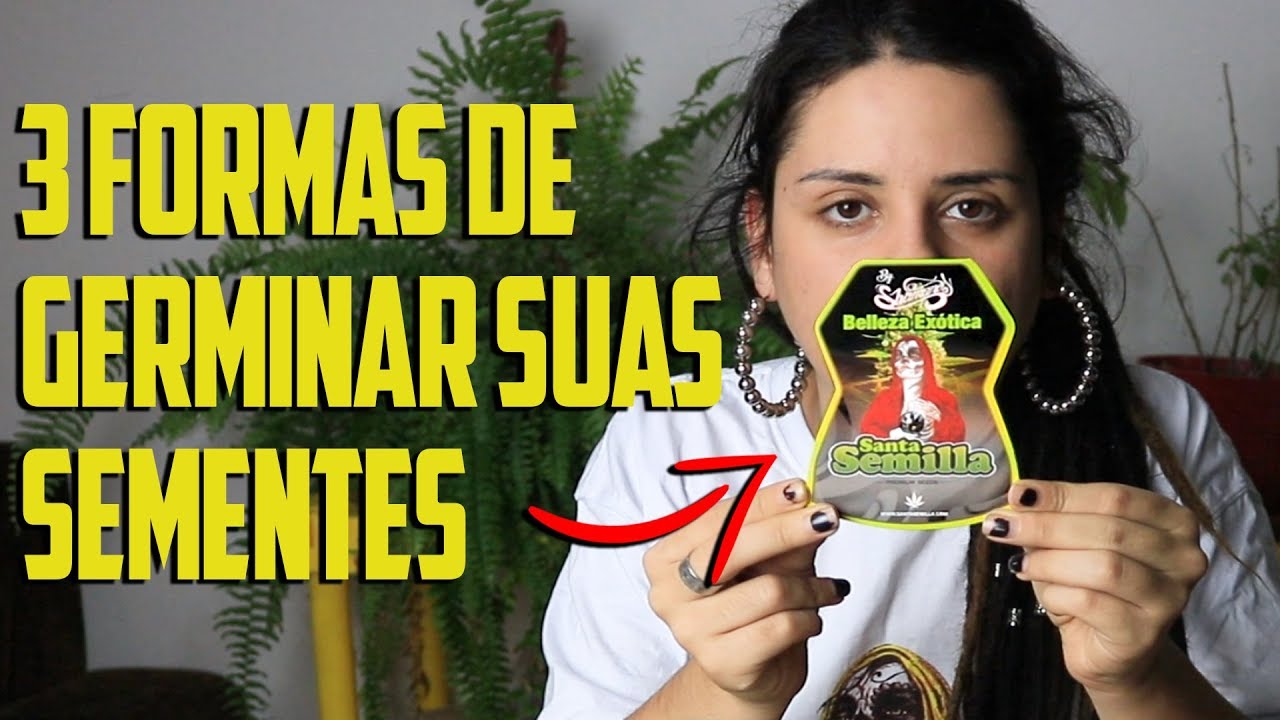 COMO GERMINAR SEMENTES DE M4C0NHA
