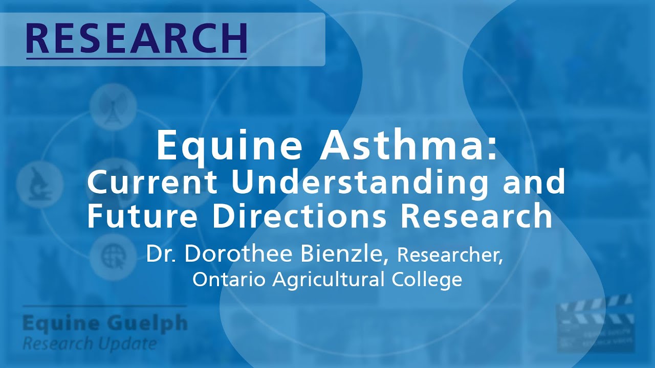 Equine Asthma: Current Understanding and Future Directions Research - Dr Dorothee Bienzle