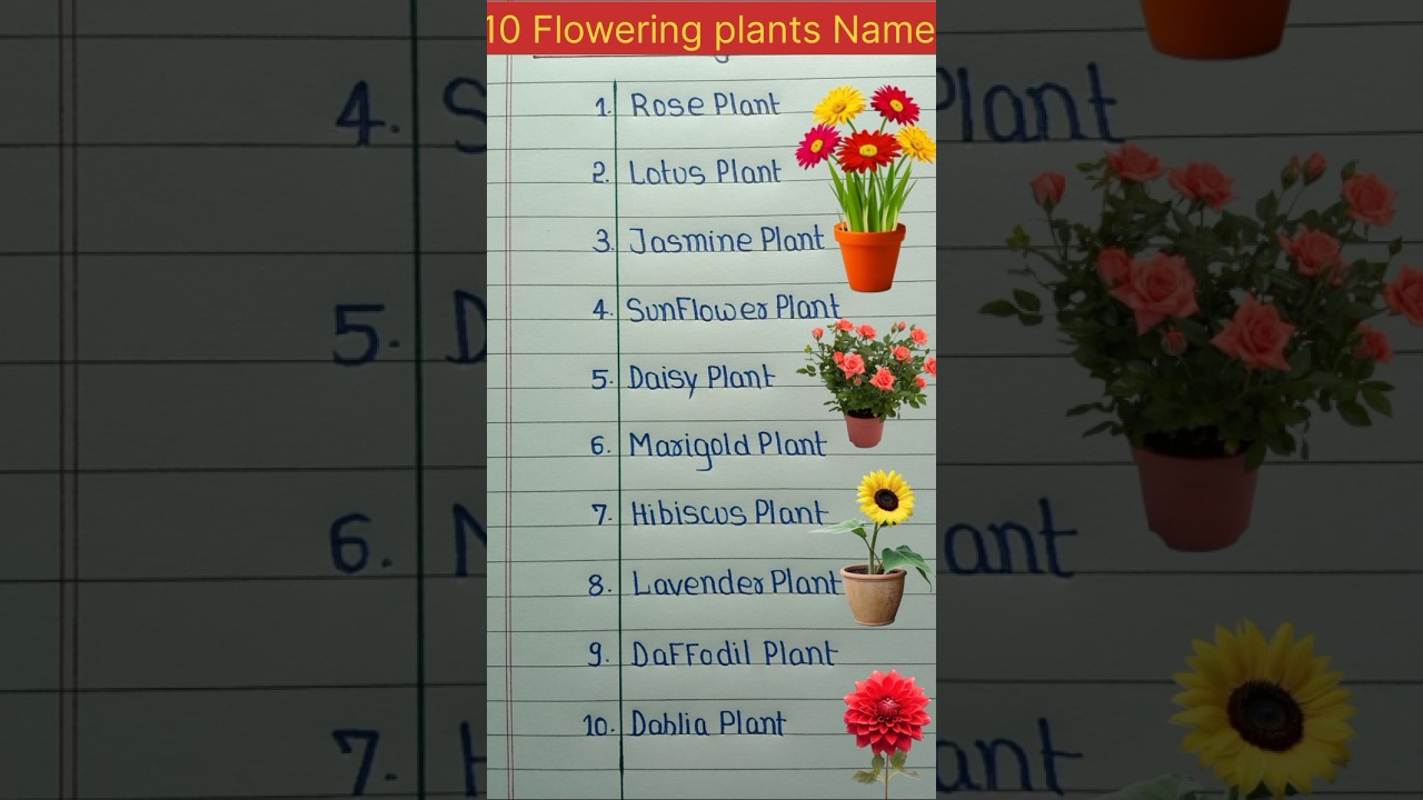 10 Flowering plants Name in English | #shorts