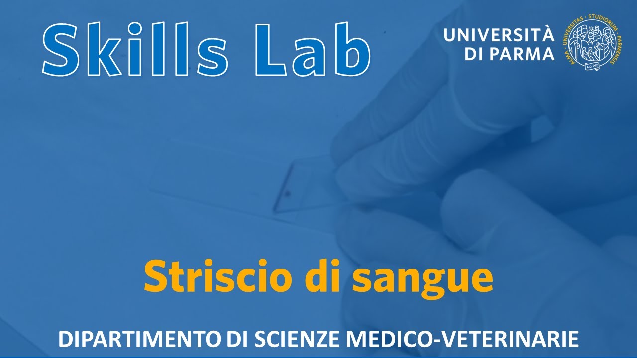 Striscio di sangue - Skills Lab UNIPR