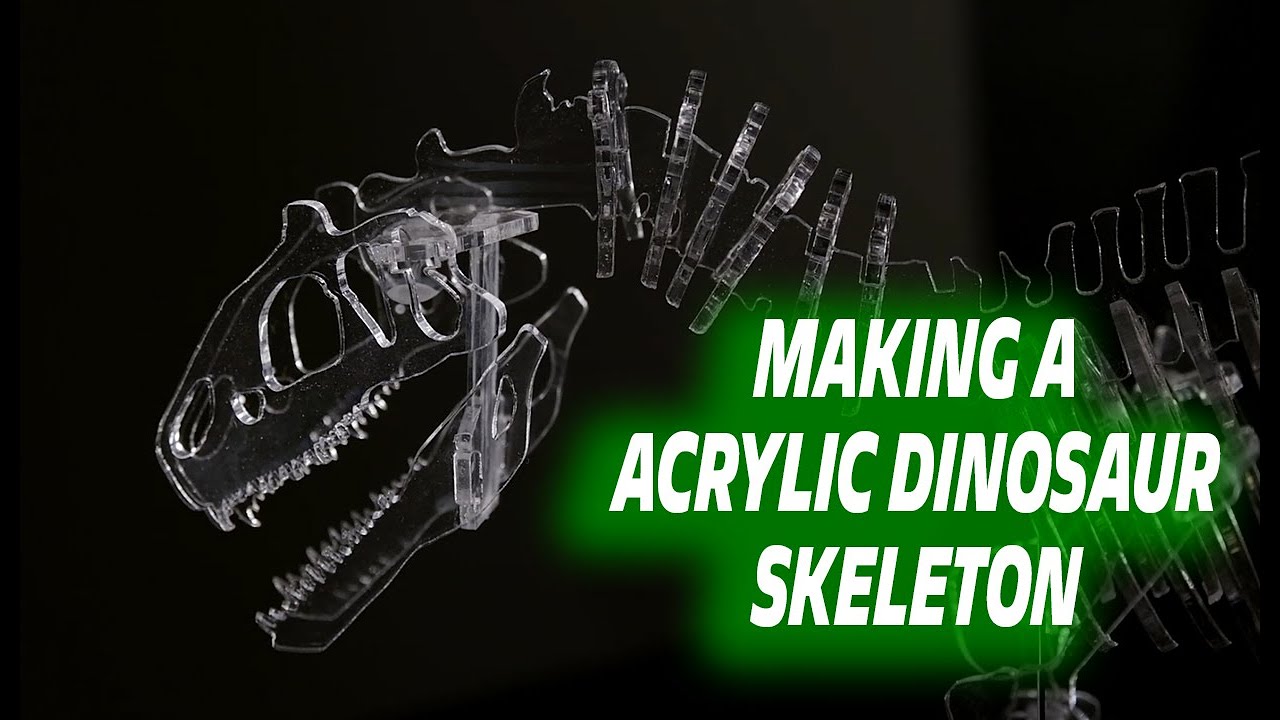 Acrylic Dinosaur Skeleton - Laser Cutting Dino Skeleton