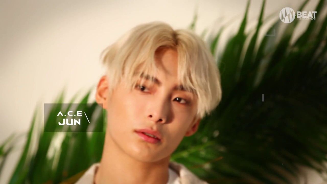 A.C.E(에이스) - 선인장(CACTUS) 자켓 메이킹