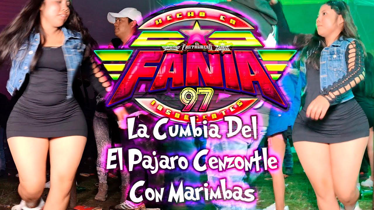 SONIDO FANIA 97 LA CUMBIA DEL PAJARO CENZONTLE CON MARIMBAS 2025 LA RESURRECCION PUEBLA