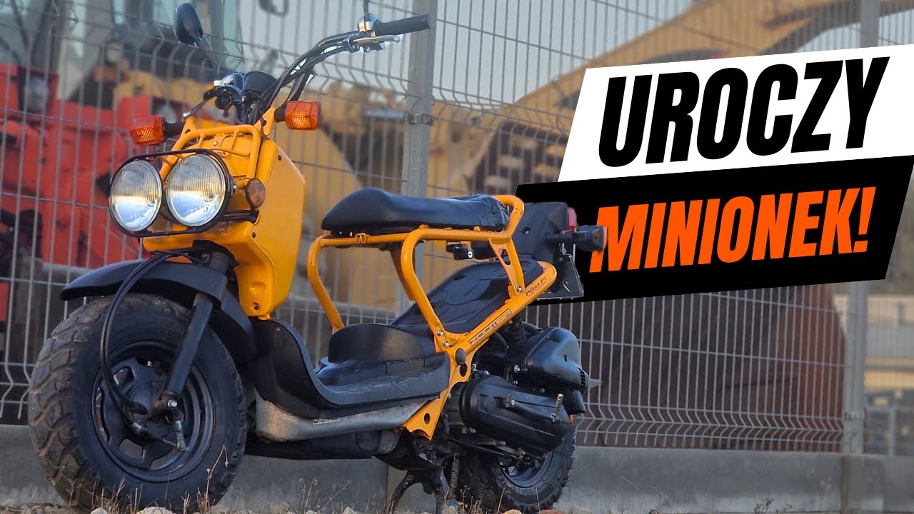 Honda ZOOMER 50 - najsłodszy skuter jaki istnieje!