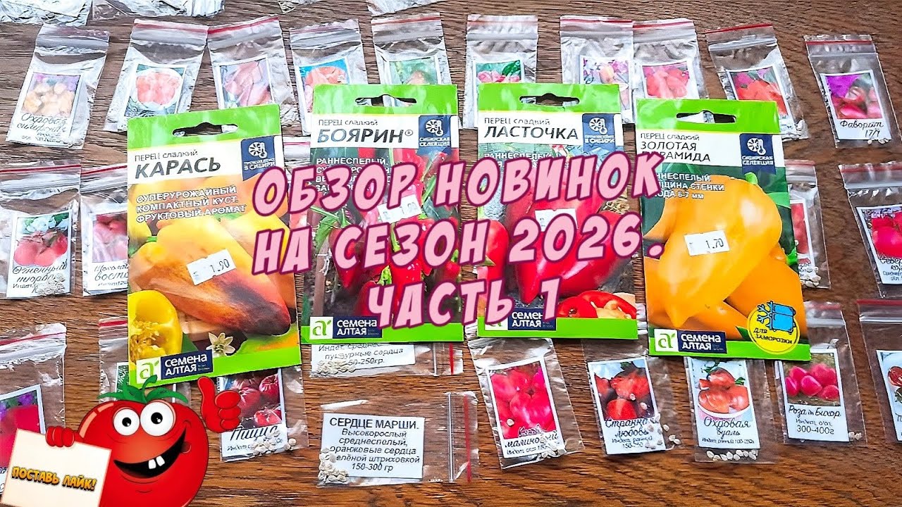Обзор новинок на сезон 2026. Часть 1