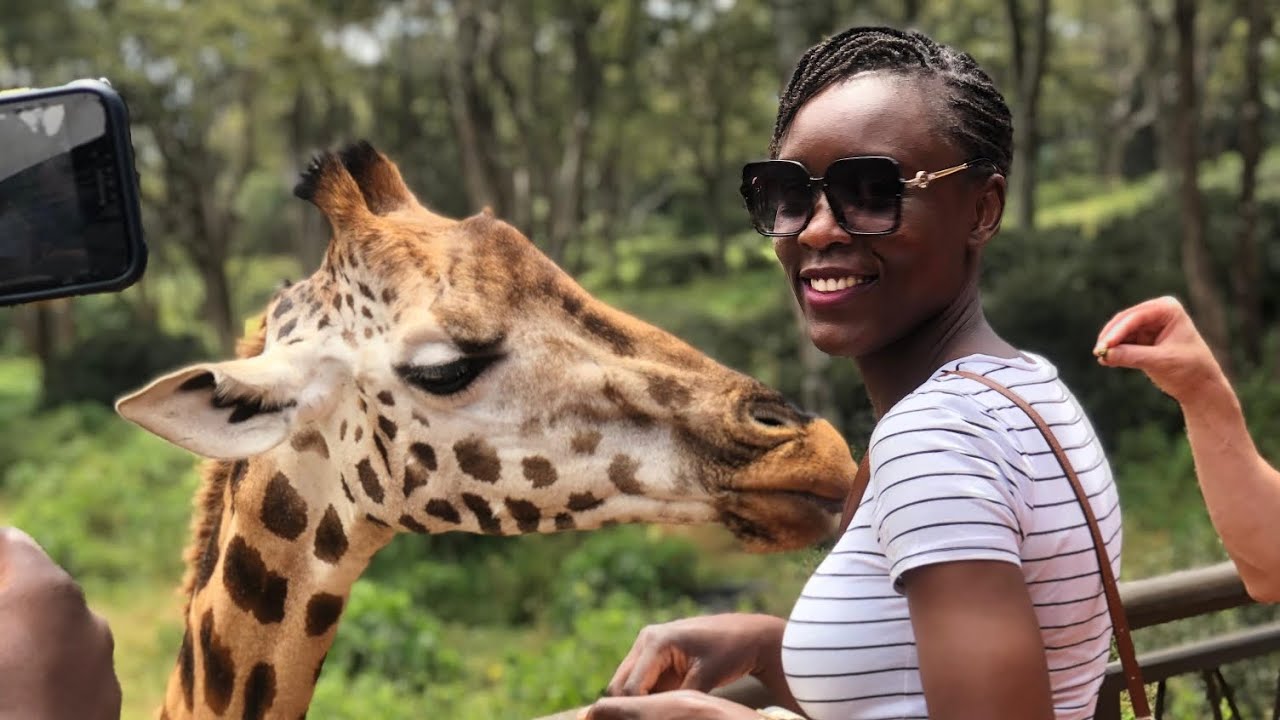 At the Giraffe Center, Kenya 2024