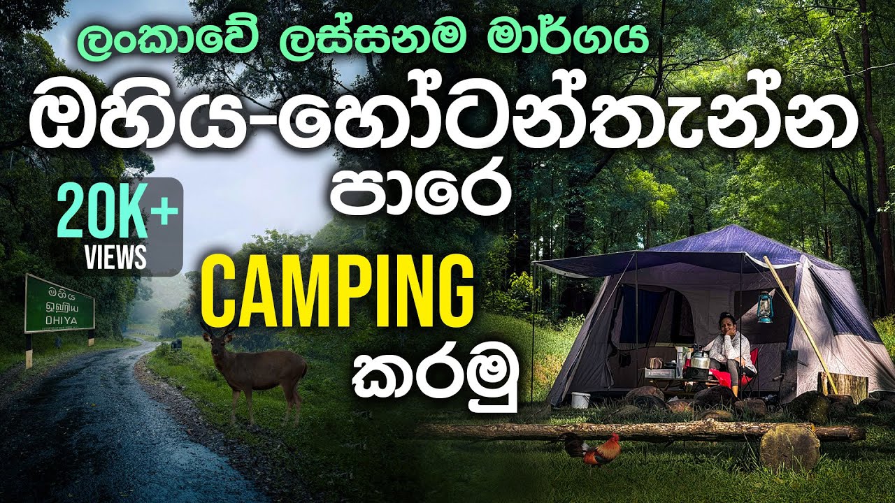 Ohiya Camping Site | ලංකාවේ ලස්සනම පාරෙ කඳවුරු භූමිය | Vlog 22