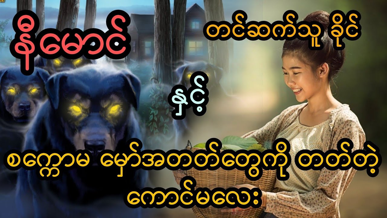 နီမောင် နှင့် စက္ကောမ မှော်အတတ်တွေကို တတ်တဲ့ ကောင်မလေး (အစအဆုံး)
