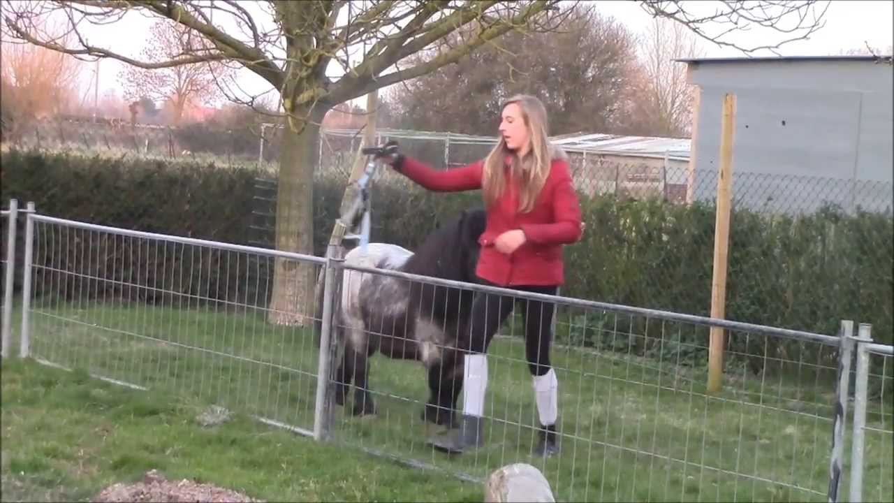 Arrivée de Twist à la maison