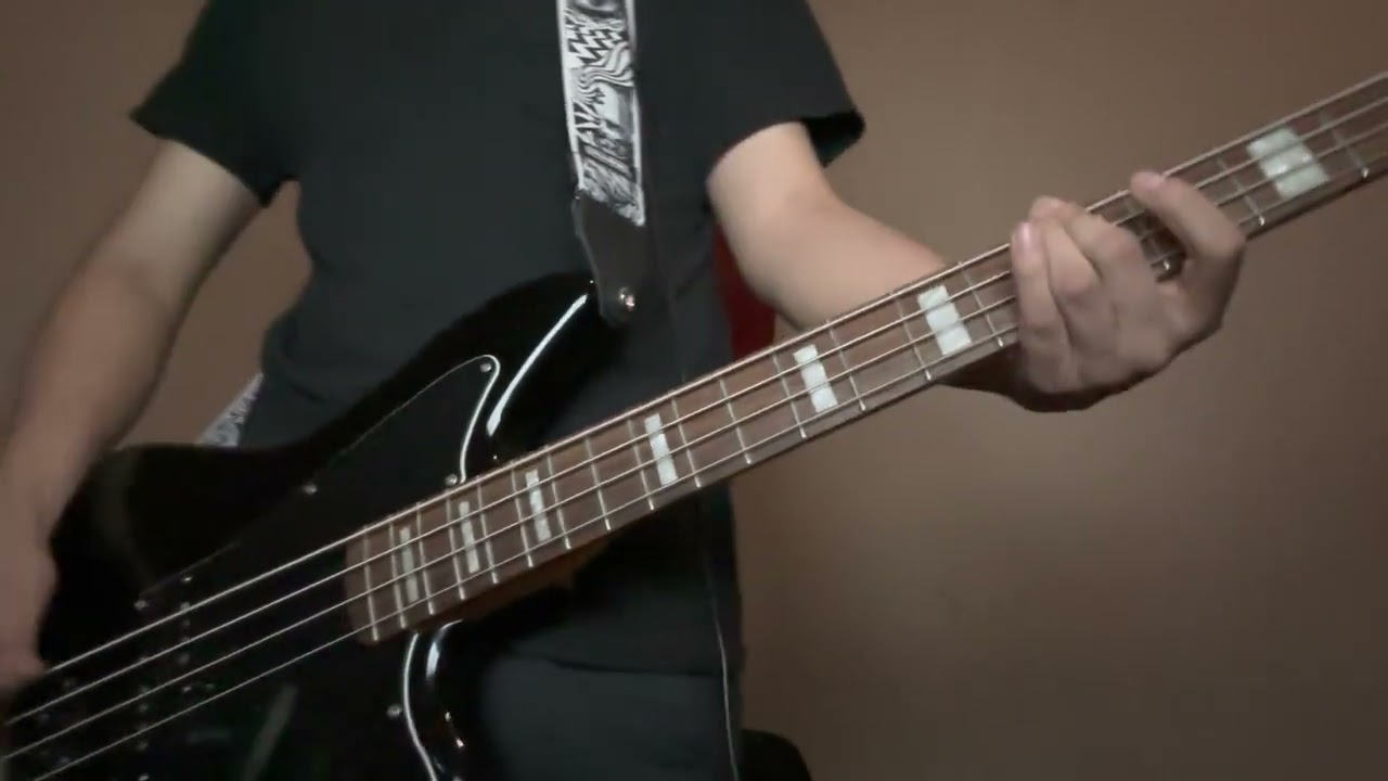 Title Fight - Numb, But I Still Feel It/Leaf (Bass Cover)