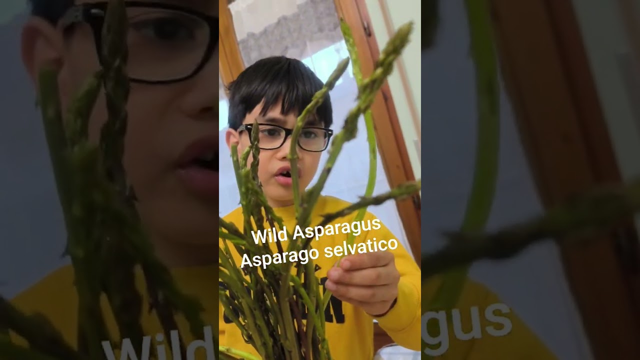 #asparagus #asparagi #shortvideo #paulgabriel #followme #bambini #contentcreator #youtubeshorts