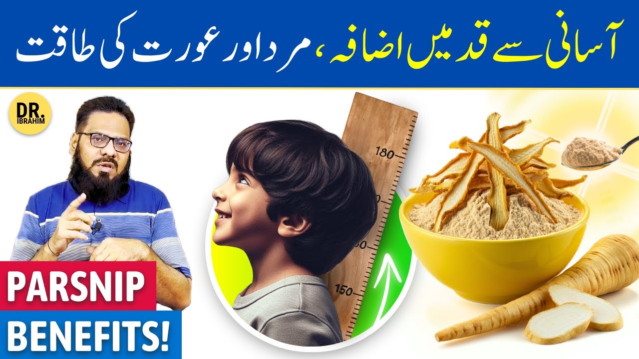 Shaqaqul Misri Ke Fayde/Istemal | Parsnip Root Uses/Benefits | Dr. Ibrahim