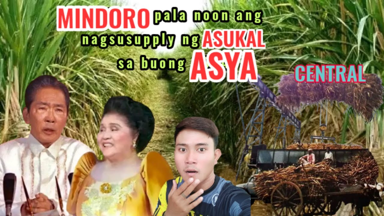 PABRIKA NG ASUKAL SA MINDORO BAKIT PINABAYAAN l SUPPLIER SA BUONG ASYA