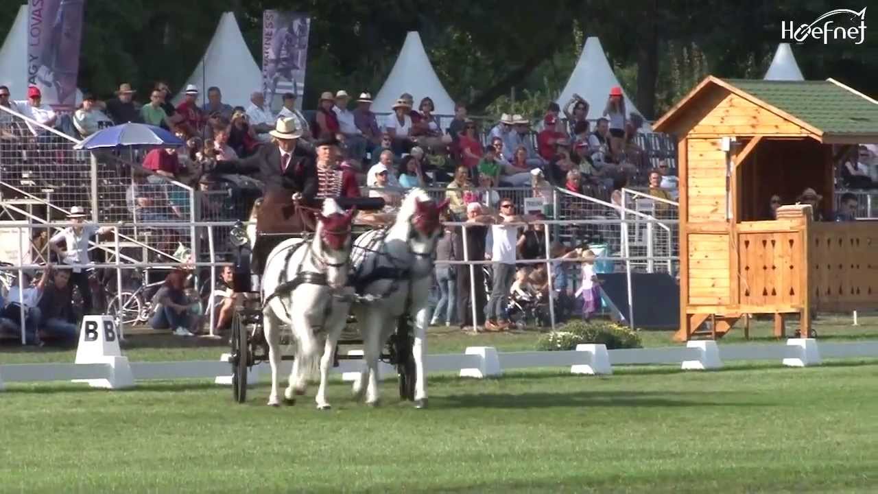 Zoltan Lazar Dressage Topolcianky 2013