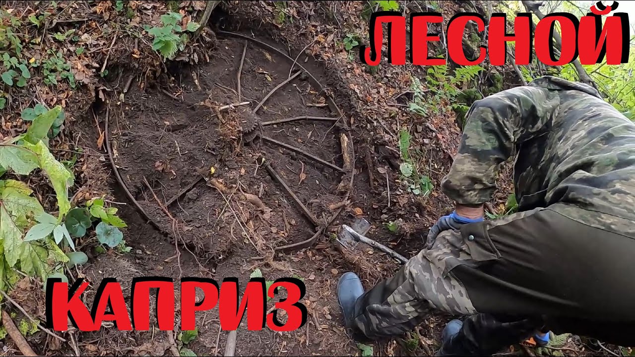 ✔️КОП МЕТАЛЛА — НЕОБЪЯТНЫЕ КРАЯ И КРУПНЫЕ НАХОДКИ ИЗ ЛЕСНОЙ ГЛУШИ!