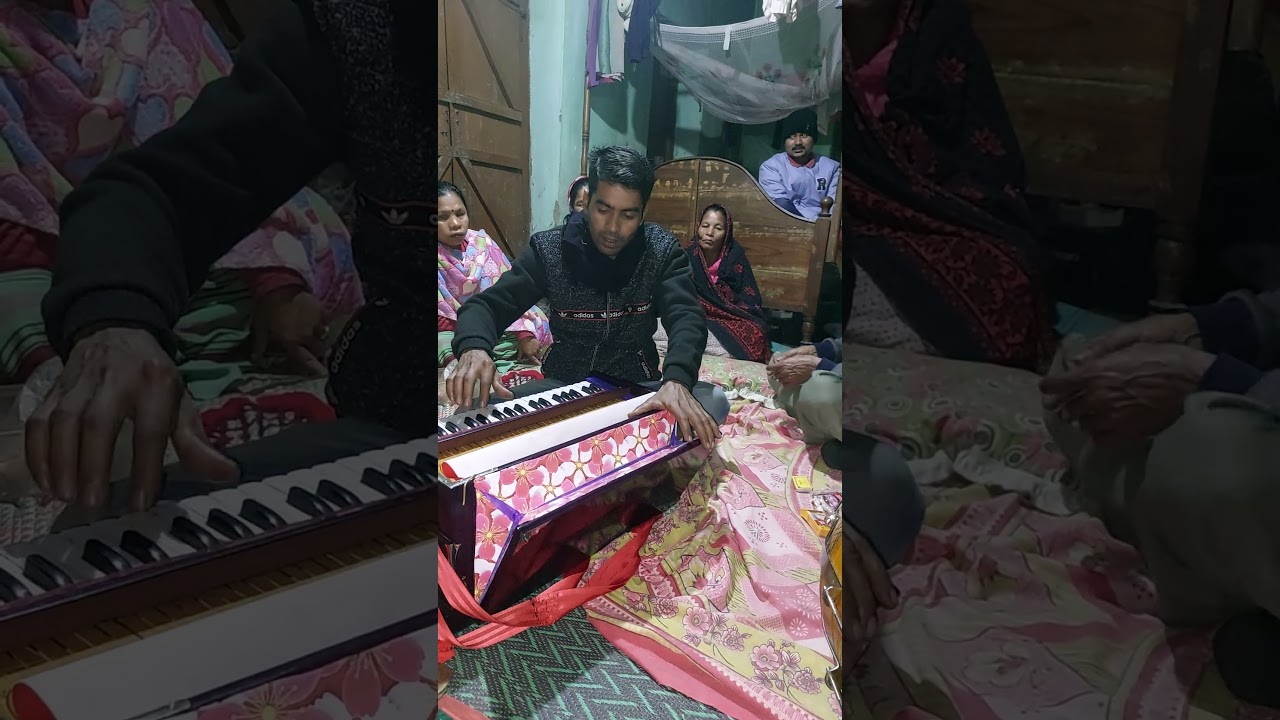 Made in german BBD reed Harmonium