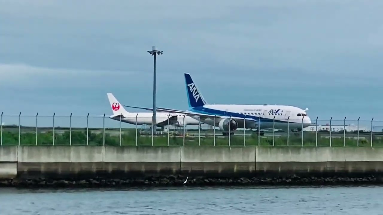 JAL takeoff from Haneda airport #foryou #fyp #viral #japanairline #haneda #airport #airplane #trend