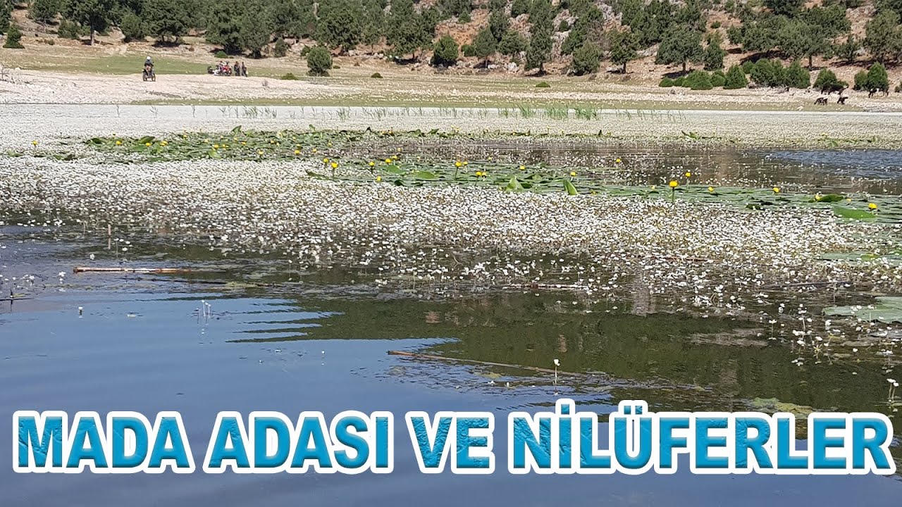 BEYŞEHİR GÖLÜ, MADA ADASI VE NİLÜFERLER (29 MAYIS 2022)