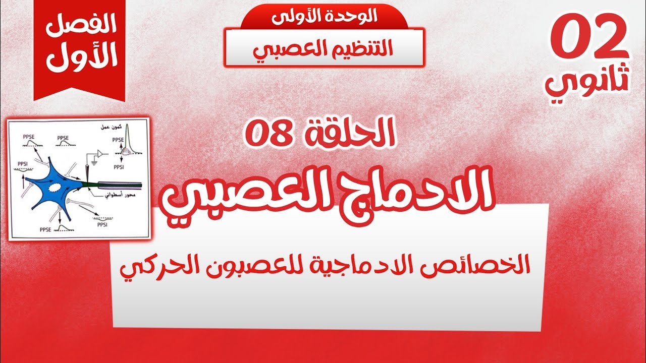 ثانية ثانوي🦾الحلقة8: الادماج العصبي