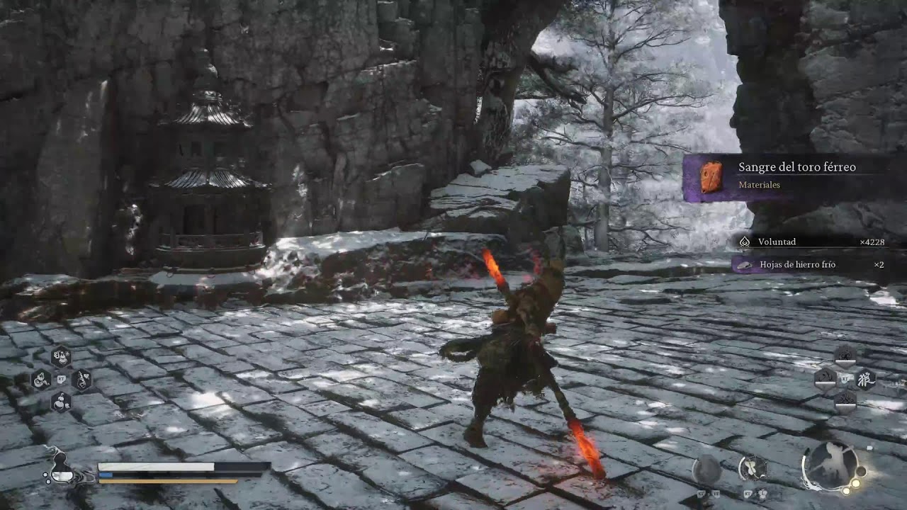 Wukong NV+