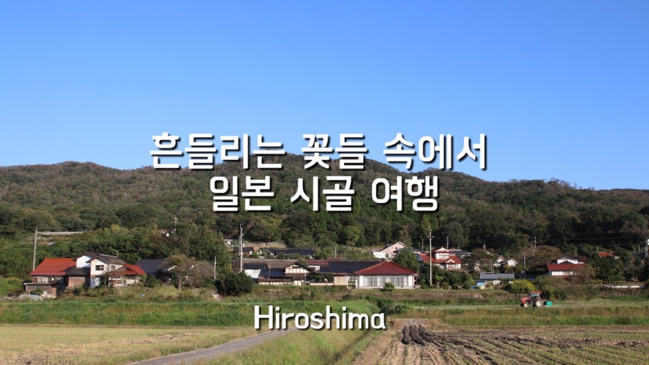 흔들리는 코스모스보러 일본 시골 여행 